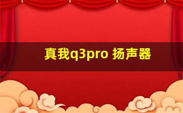 真我q3pro 扬声器